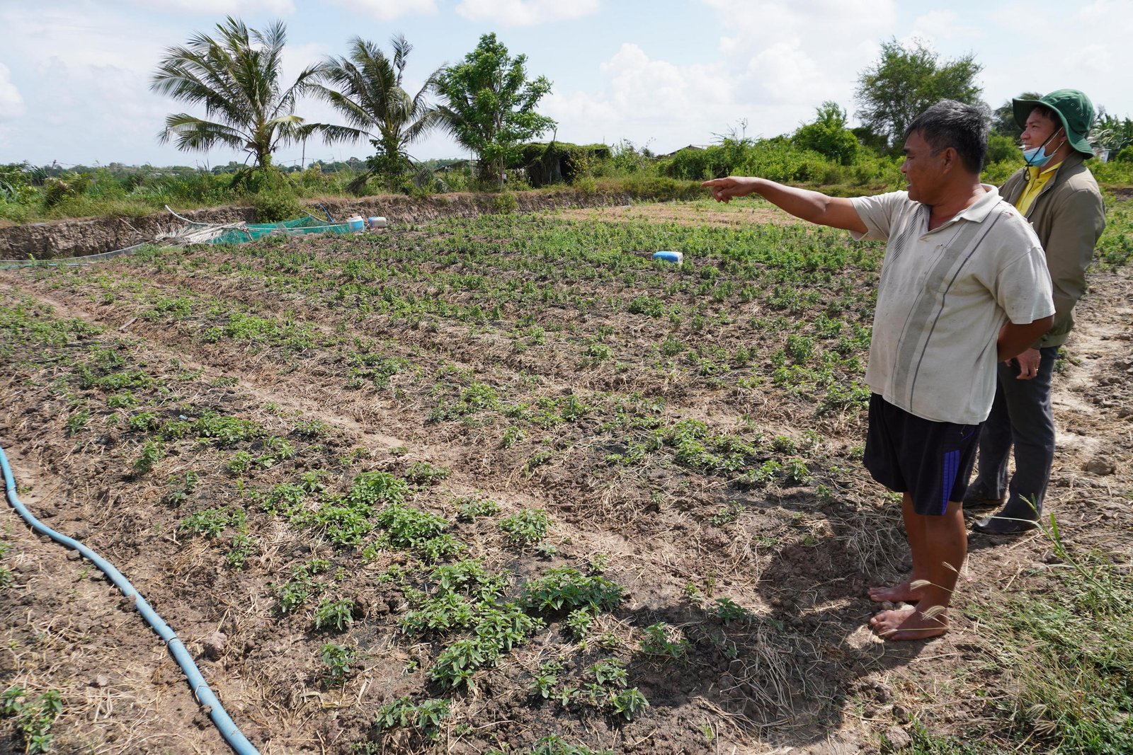 Tra Vinh Farmers Battle Drought and Salinity